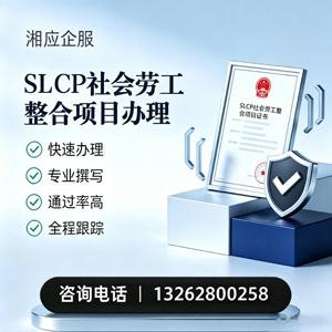 济南SLCP社会劳工整合项目申报服务