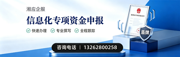 济南信息化专项资金申报服务
