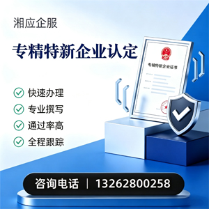 济南专精特新企业申报服务
