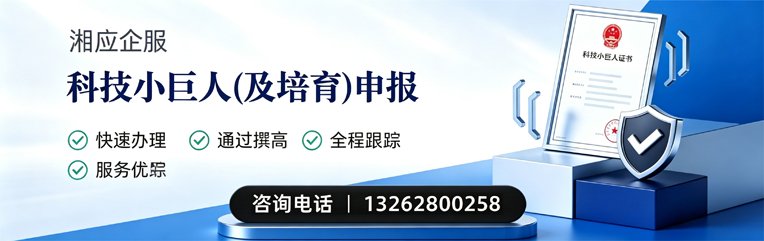 济南科技小巨人及培育企业申报服务