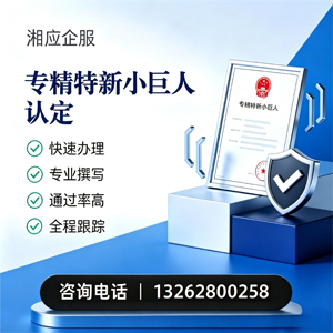 济南专精特新小巨人申报服务