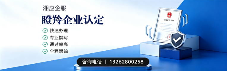 济南瞪羚企业认定申报服务