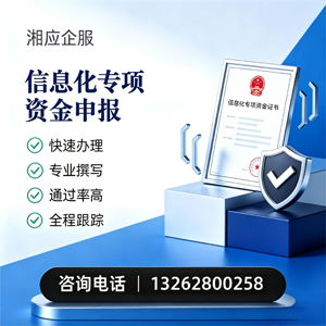 济南信息化专项资金申报服务