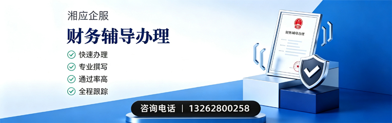 济南财务辅导申请服务