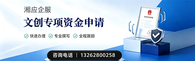济南文创专项资金申报服务