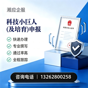 济南科技小巨人及培育企业申报服务