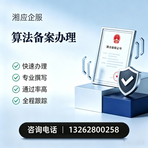 济南算法备案申报服务