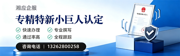 济南专精特新小巨人申报服务